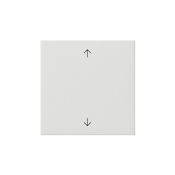 Gira Wippe 1-fach Reinweiß 538903